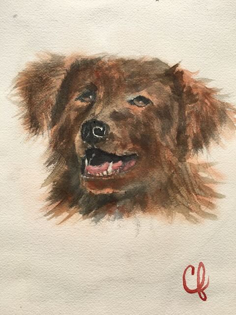 watercolor painting of a long hair brindle dog sitting attentively